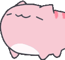 PINK NODDERS